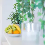 Apartman Aspalathos Romantic Retreat *